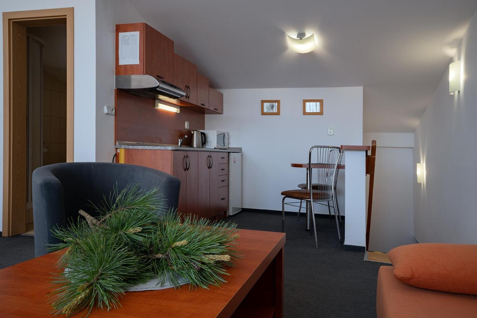Apartament Studia Sprava Tanapu Štrbské Pleso Zewnętrze zdjęcie